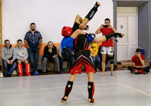 Чемпіонат Київської області з панкратіону, Фастів. Фото