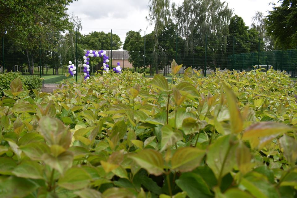 Відкриття футбольного поля в Новій Олександрівці. Фото