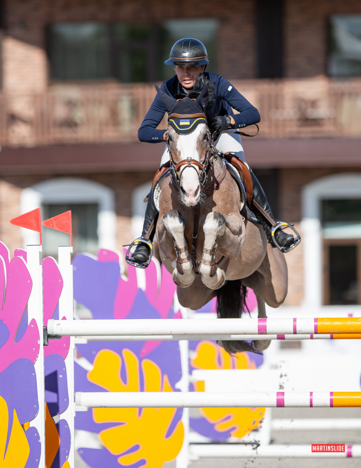 Кубки з кінного спорту, Лісники. Фото