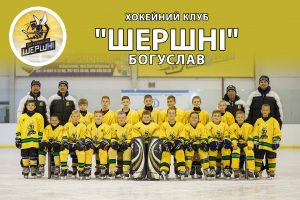 Шершні. Фото