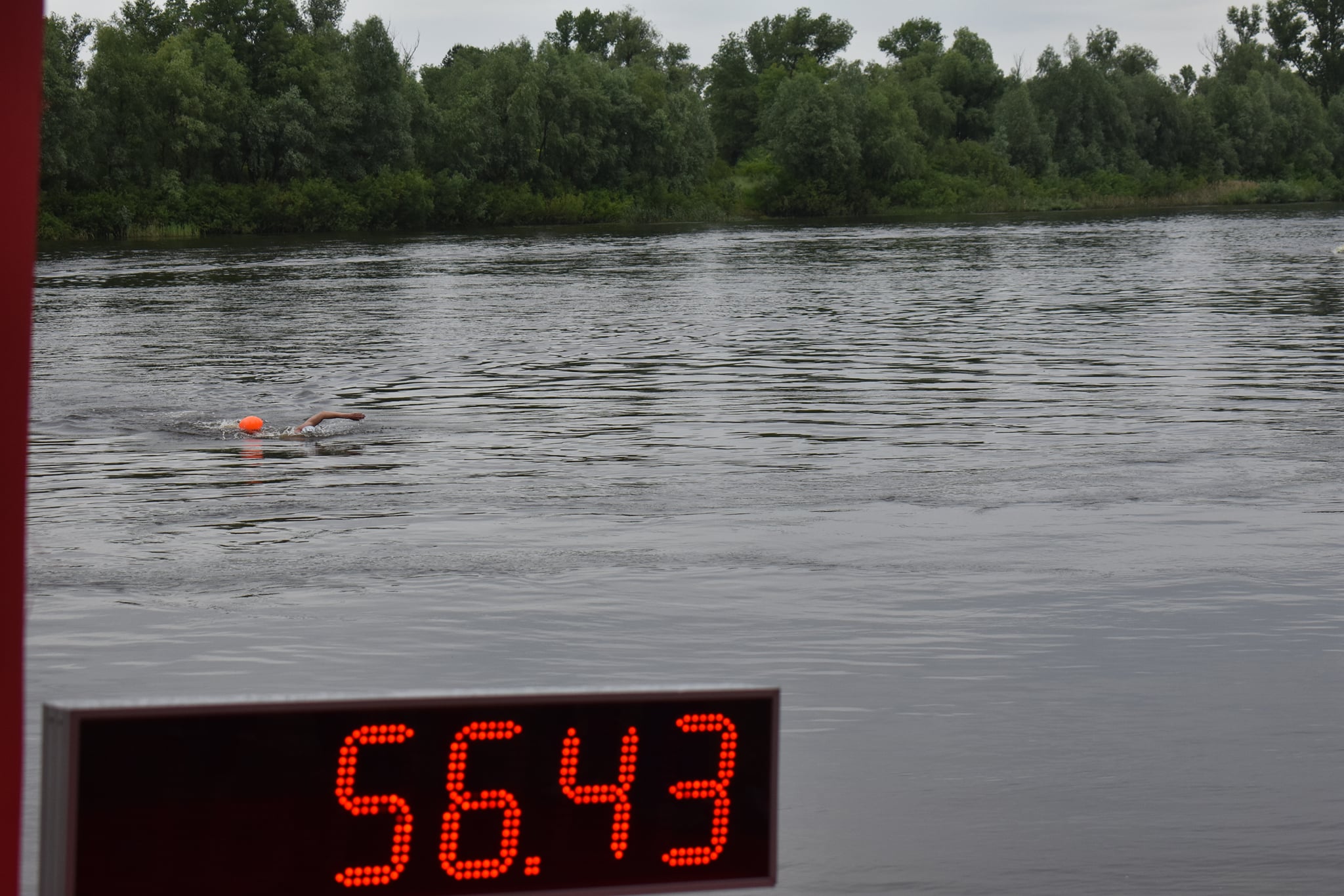 заплив на відкритій воді «Десна 6.5». фото