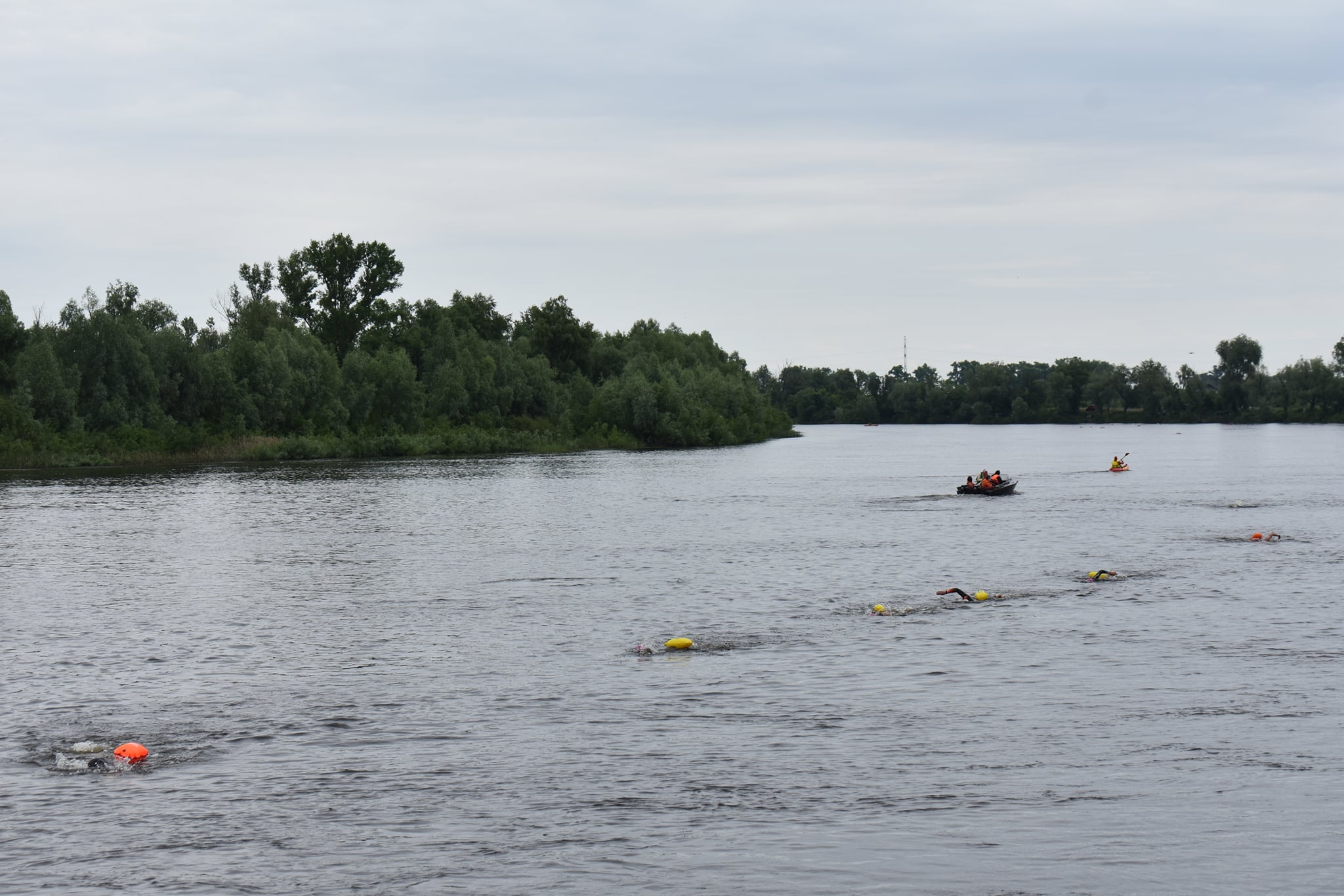 заплив на відкритій воді «Десна 6.5». фото