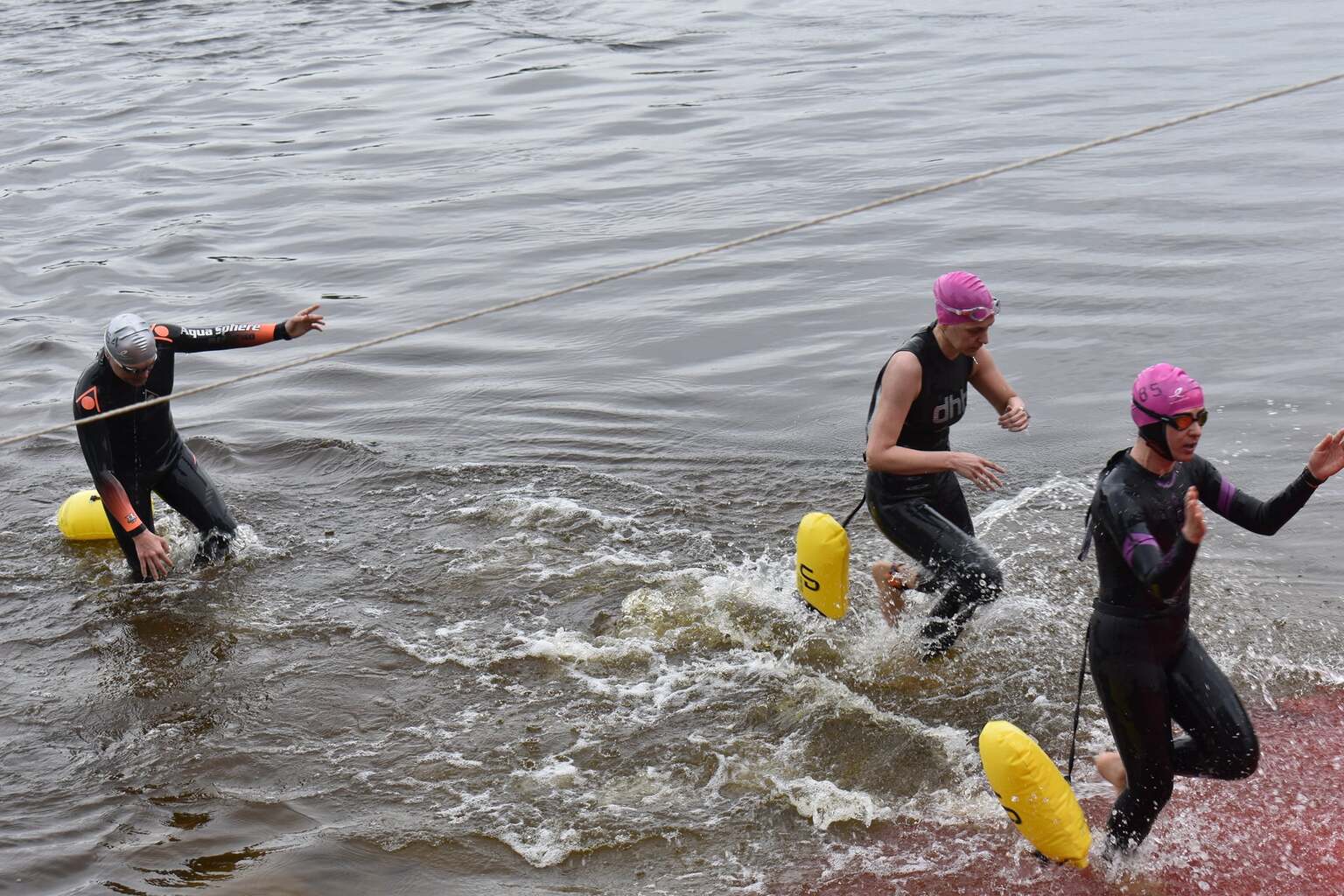 заплив на відкритій воді «Десна 6.5». фото