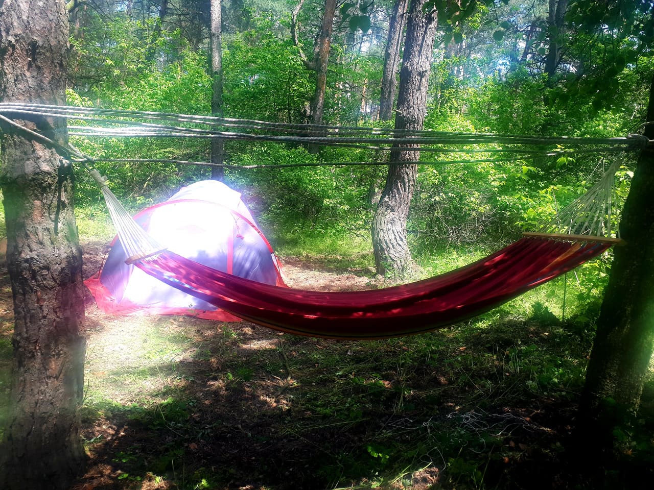 наметові таборівки на Київщині. фото