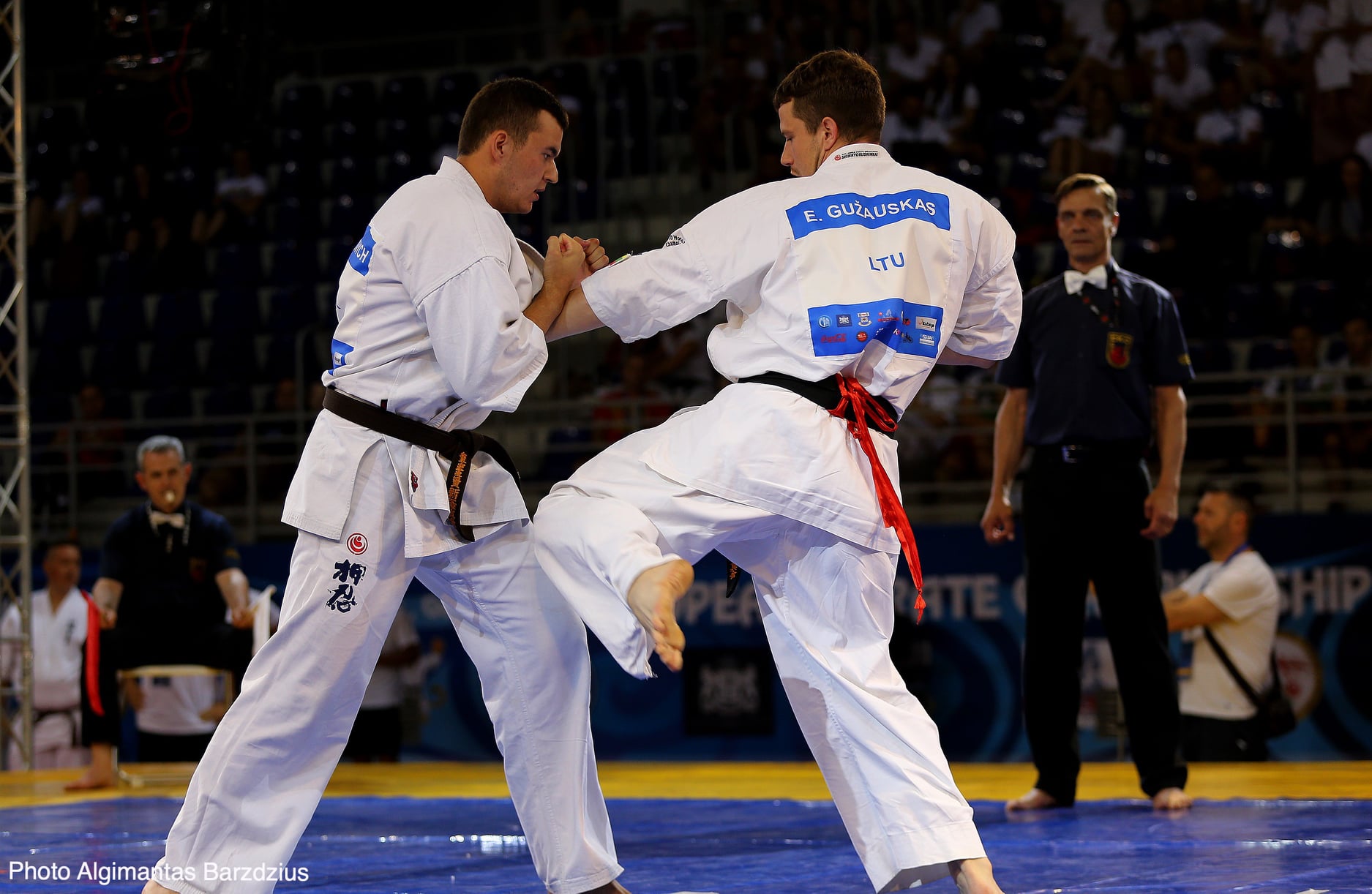 Чемпіонат Європи з кіокушинкай карате, Тбілісі. фото