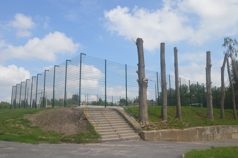 м. Васильків,  вул. Шевченка 46