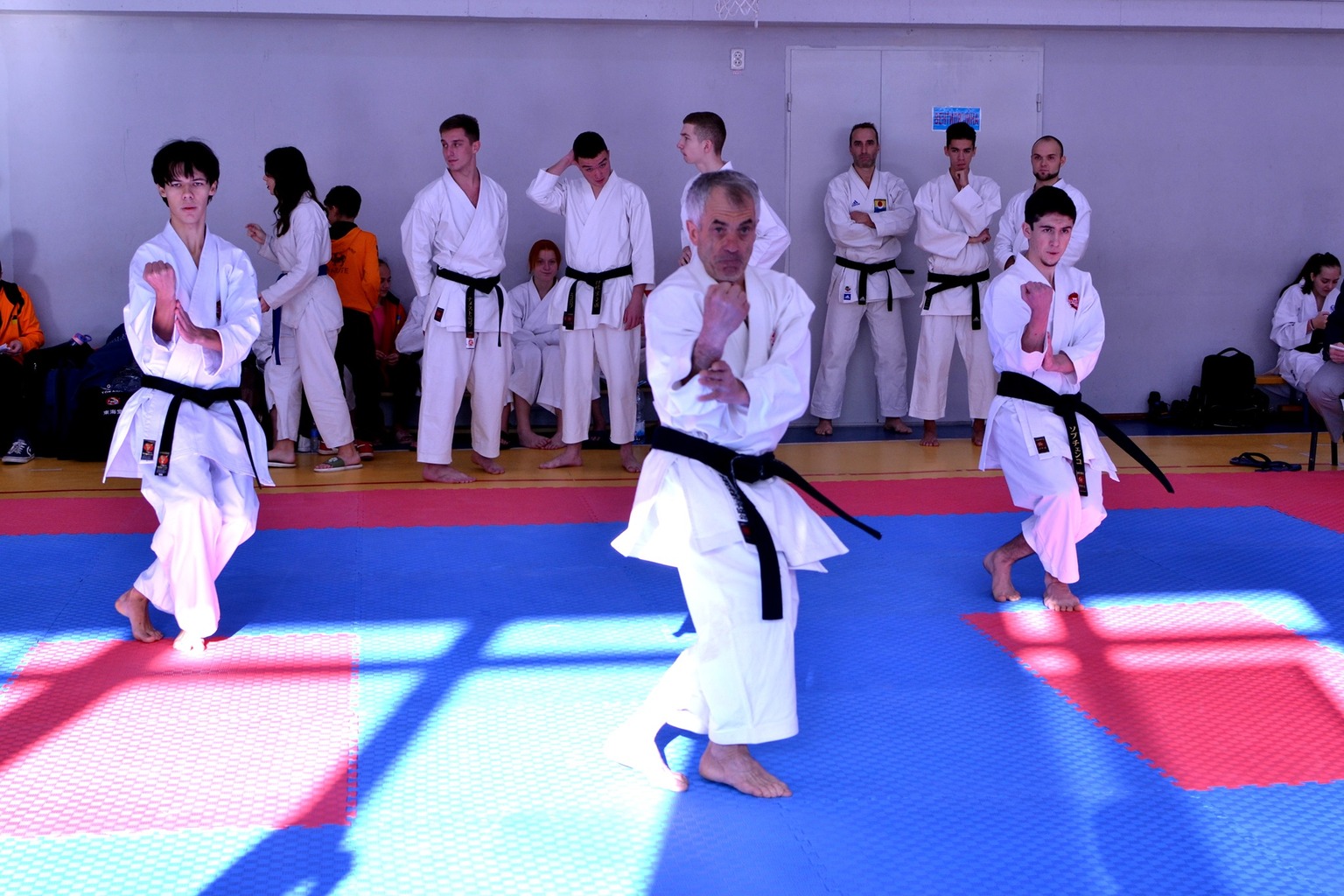 Кубок України з фунакоші шотокан карате, Українка. фото