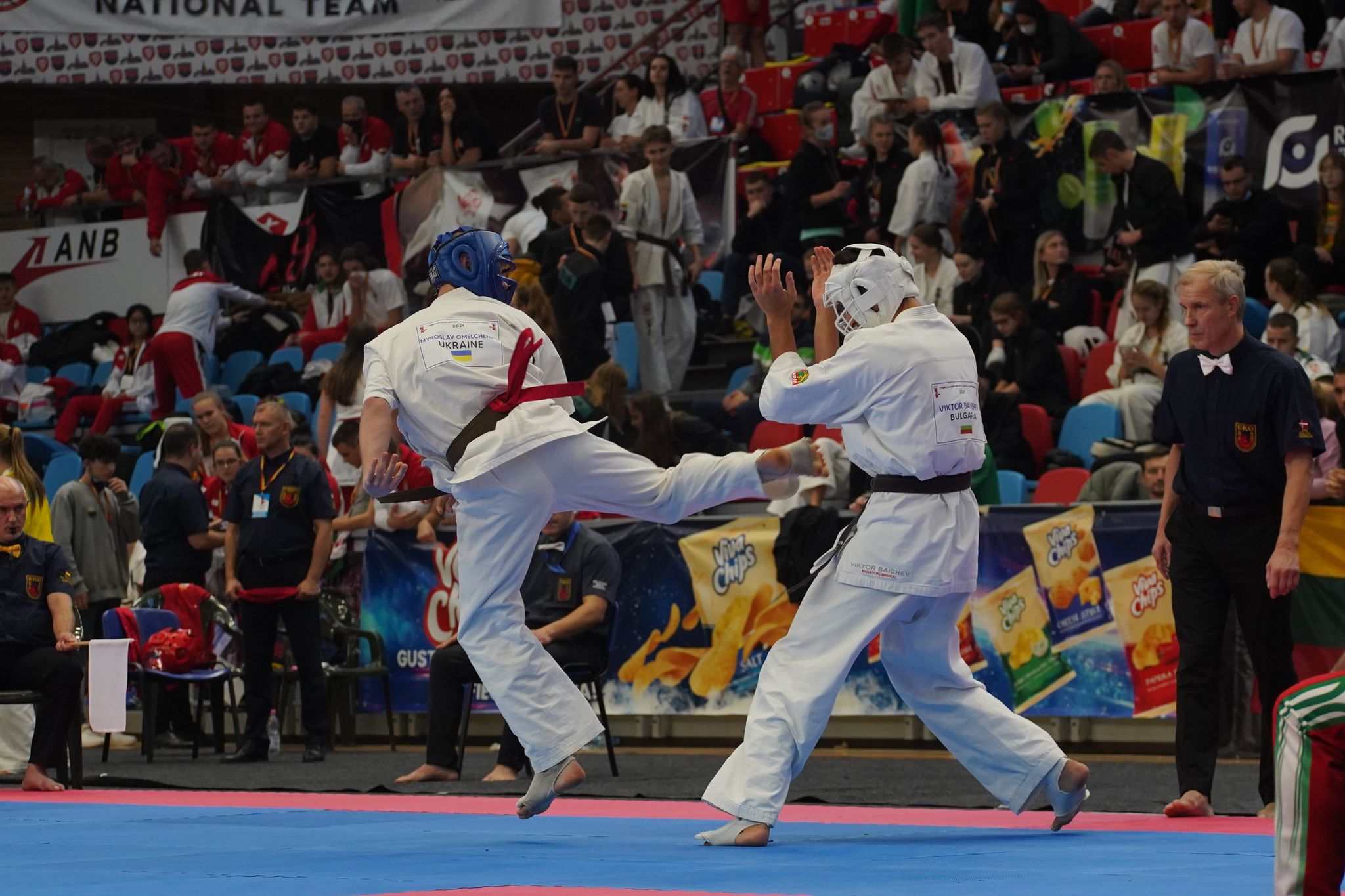  чемпіонат Європи з кіокушинкай карате, Румунія. фото