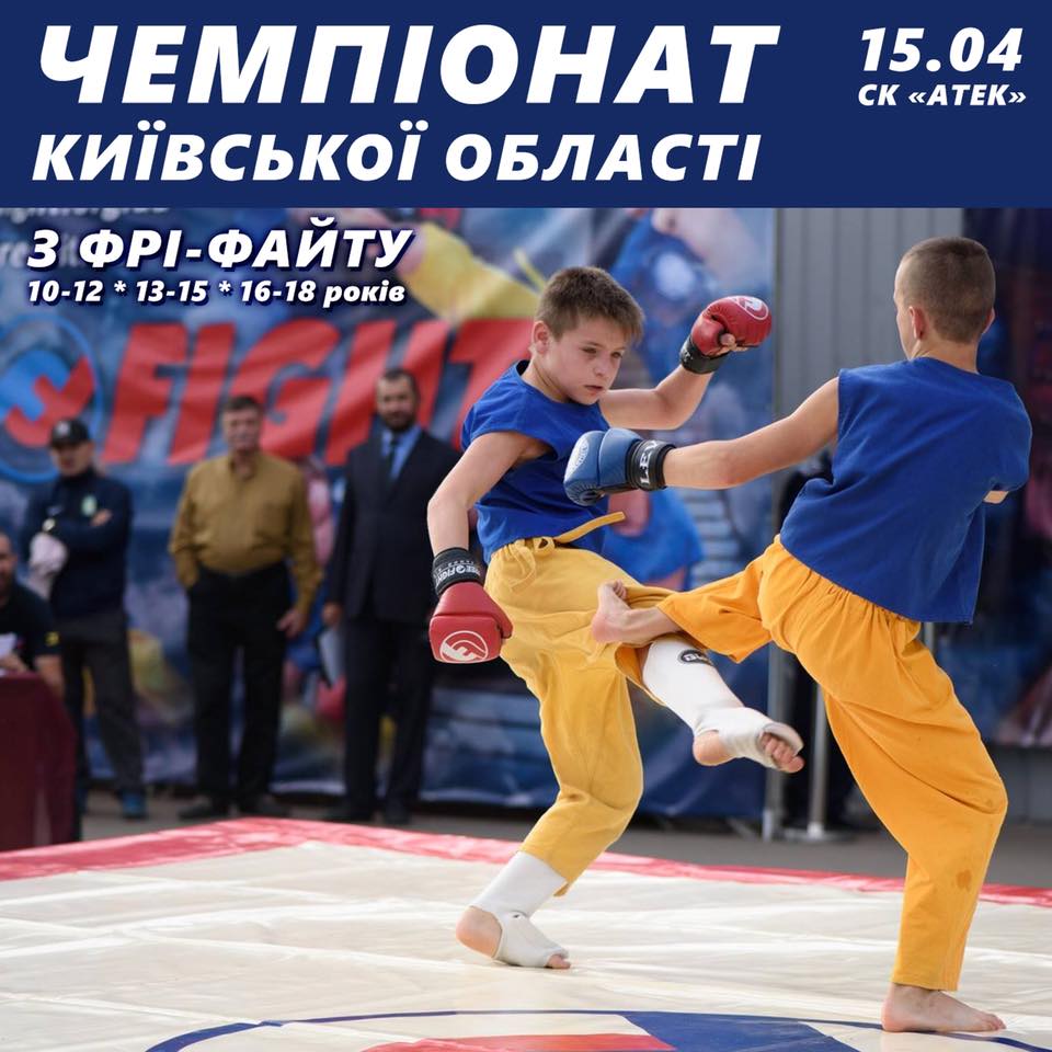 Чемпіонат Київської області з фрі-файту. Фото
