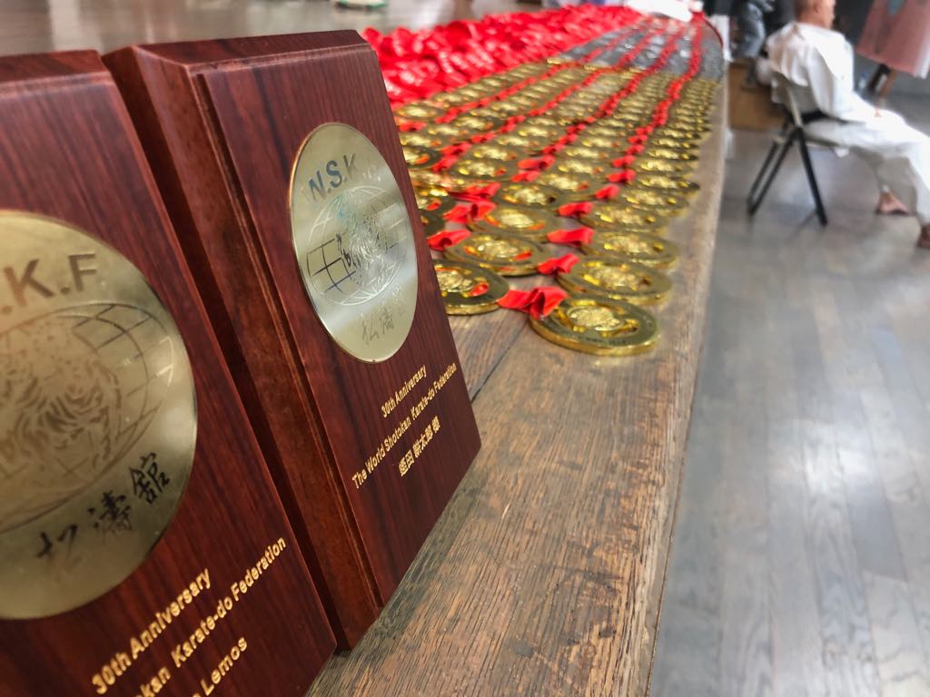 ЧС з шотокан карате-до в Японії. Фото