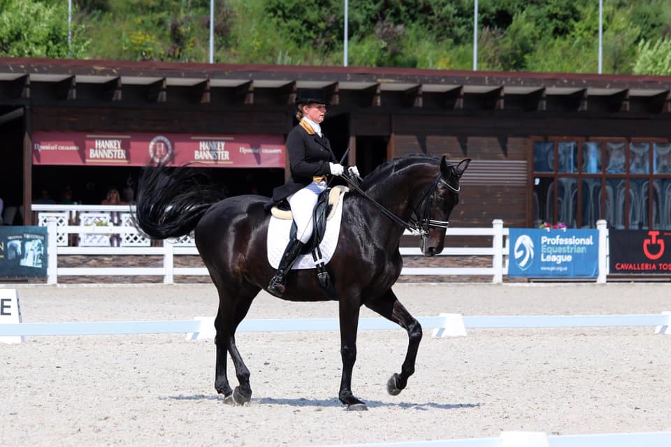 Змагання з кінного спорту, вересень. Фото