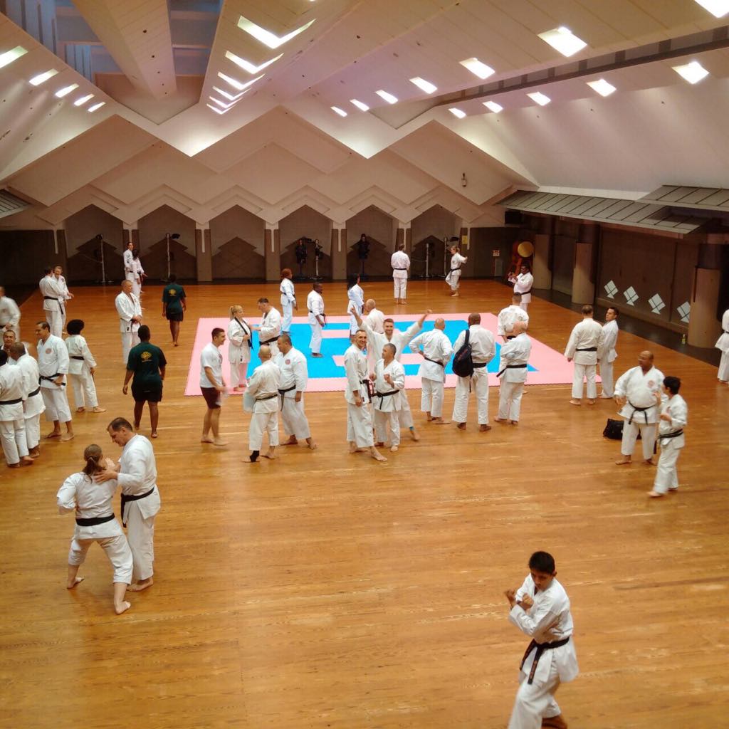 Чемпіонат світу з шотокан карате-до, Токіо. Фото