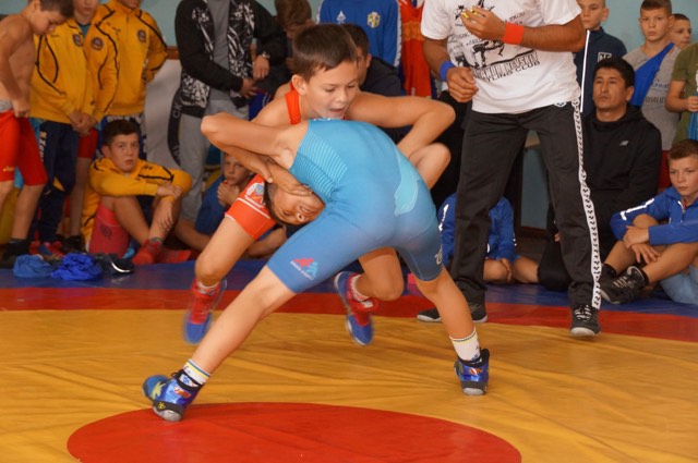 Кубок Крюківщини з греко-римської боротьби. Фото