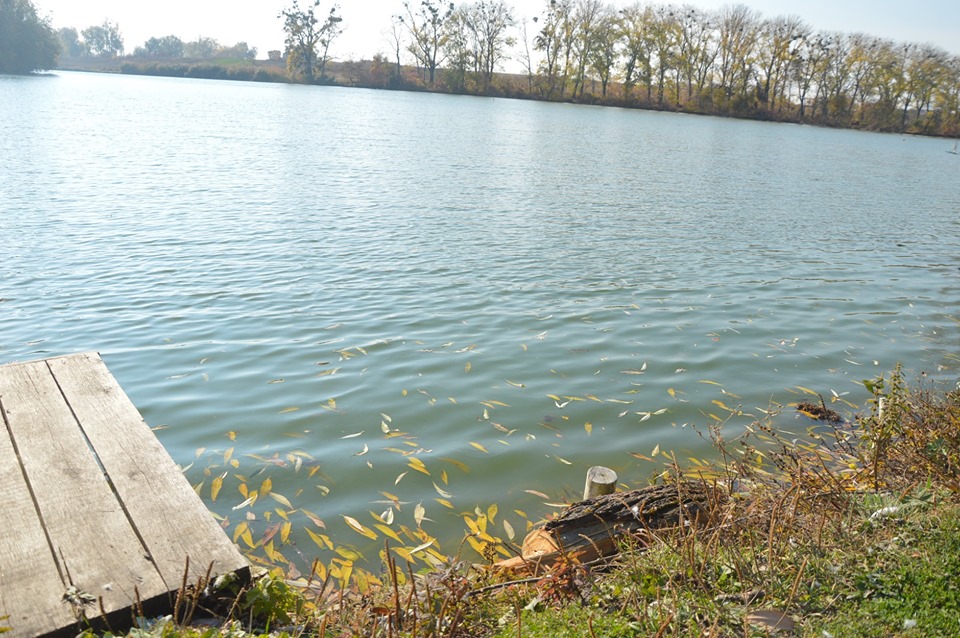 Візит Сергія Тимофєєва до Тетієва. Фото