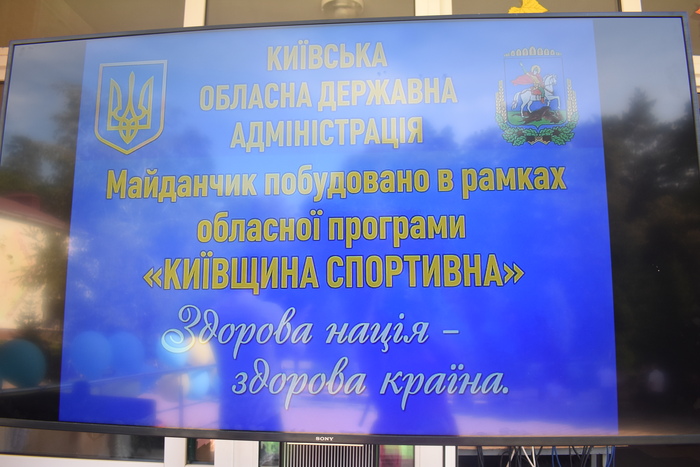 Відкриття мультифункціонального майданчика у Володарці. Фото