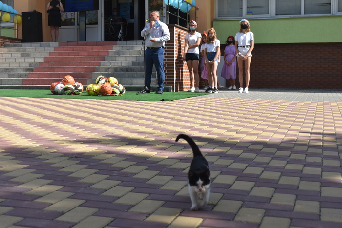 Відкриття мультифункціонального майданчика у Володарці. Фото