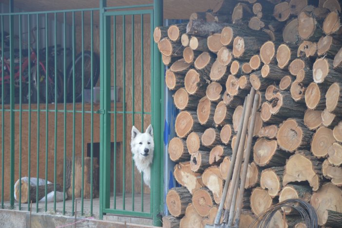 База з веслування на байдарках і каное, Обухів. Фото
