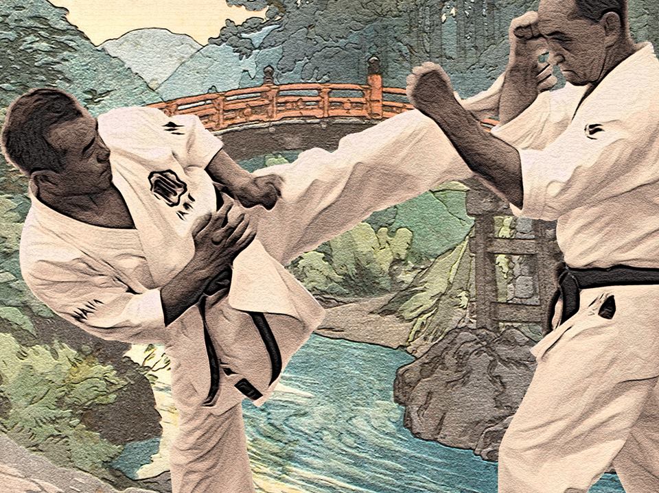  годзю-рю карате. фото