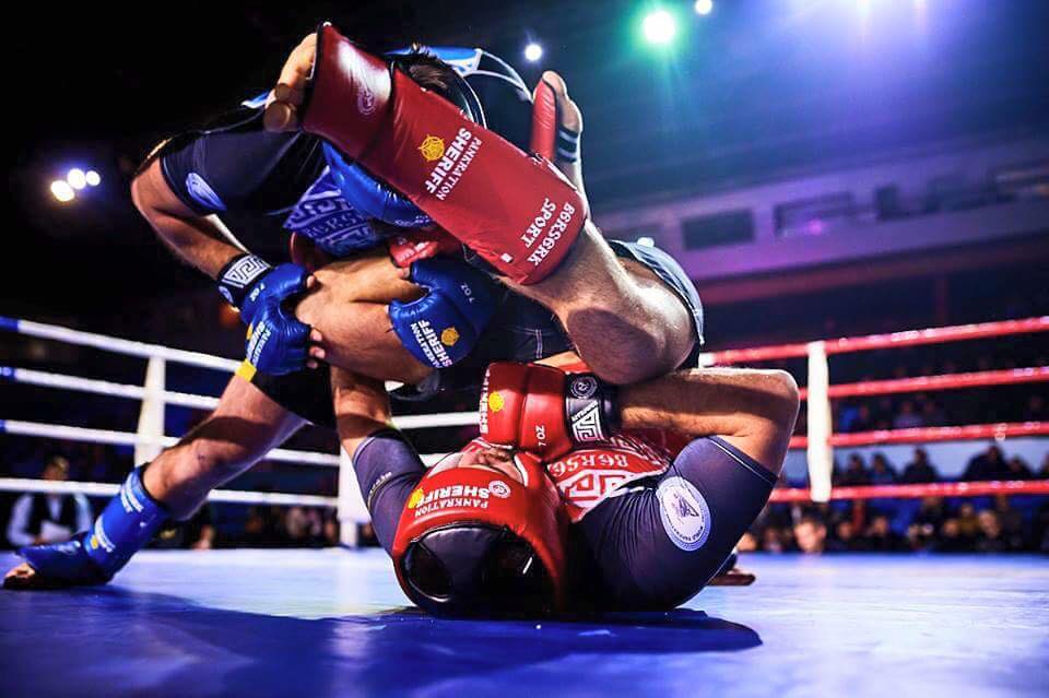 греплінг. фото