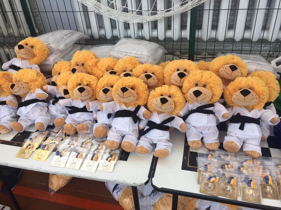 В селі Іллінці на Вінничині відбулися змагання з дзюдо серед юнаків та дівчат. Фото В селі Іллінці на Вінничині відбулися змагання з дзюдо серед юнаків та дівчат. Фото