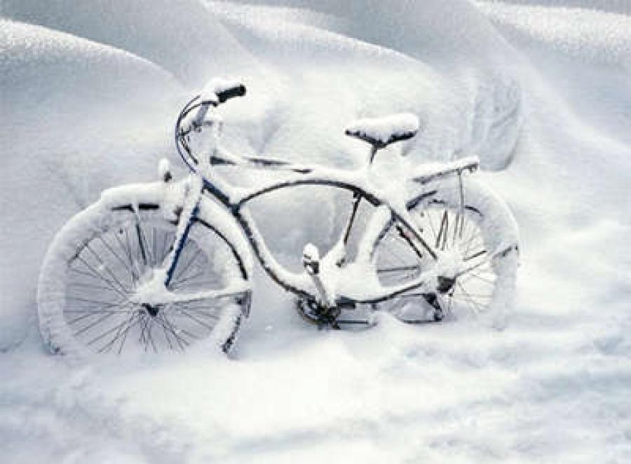 Чемпіонат Київщини з велоспорту, Біла Церква. Фото Чемпіонат Київщини з велоспорту, Біла Церква. Фото