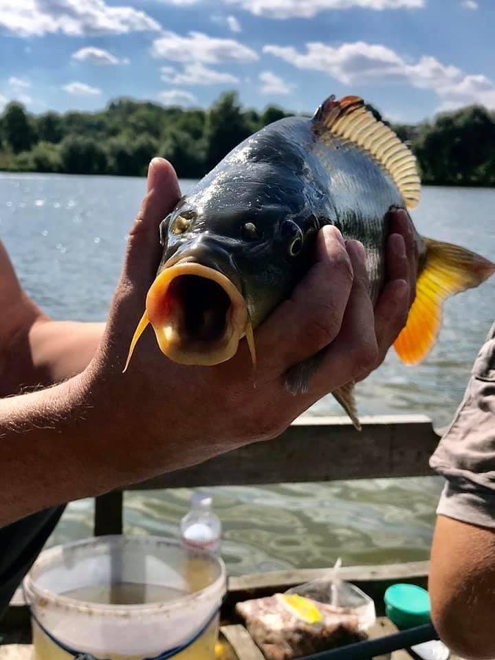 Чемпіонат України з риболовного спорту, с. Гвоздів. Фото Чемпіонат України з риболовного спорту, с. Гвоздів. Фото