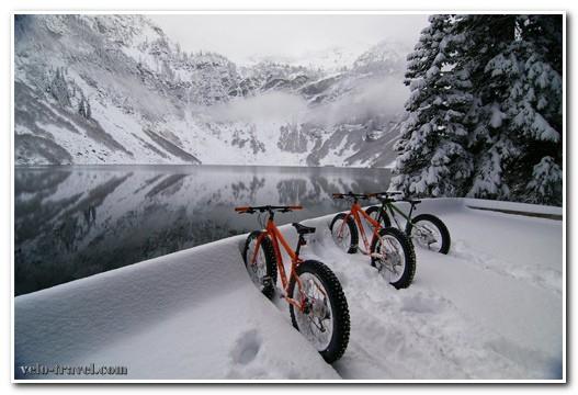 Чемпіонат України з велоспорту на треку. Фото Чемпіонат України з велоспорту на треку. Фото